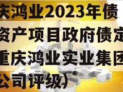 重庆鸿业2023年债权资产项目政府债定融（重庆鸿业实业集团有限公司评级）