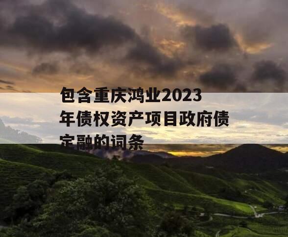 包含重庆鸿业2023年债权资产项目政府债定融的词条