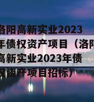 洛阳高新实业2023年债权资产项目（洛阳高新实业2023年债权资产项目招标）