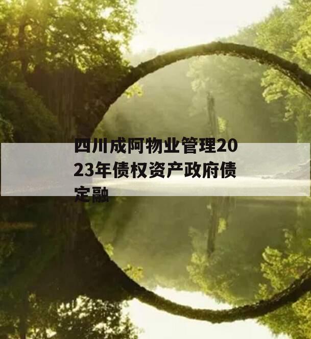 四川成阿物业管理2023年债权资产政府债定融