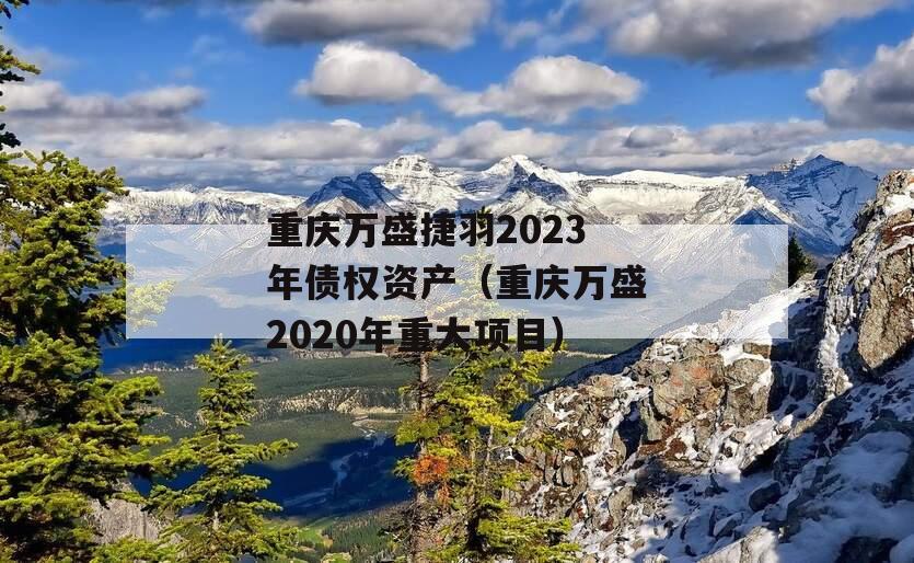重庆万盛捷羽2023年债权资产（重庆万盛2020年重大项目）