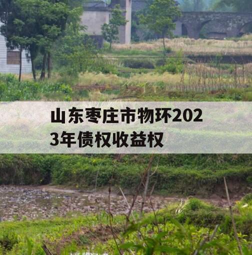 山东枣庄市物环2023年债权收益权