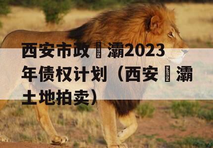 西安市政浐灞2023年债权计划（西安浐灞土地拍卖）