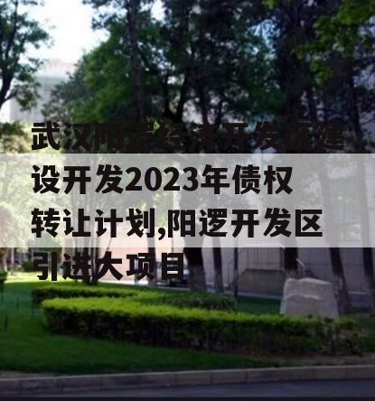武汉阳逻经济开发区建设开发2023年债权转让计划,阳逻开发区引进大项目