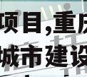 重庆武隆区隆江城市建设债权项目,重庆武隆区隆江城市建设债权项目公示