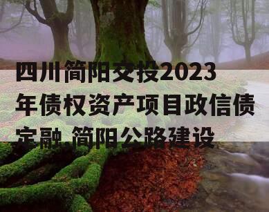 四川简阳交投2023年债权资产项目政信债定融,简阳公路建设