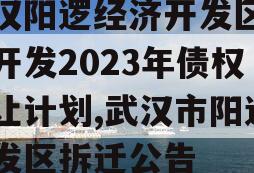 武汉阳逻经济开发区建设开发2023年债权转让计划,武汉市阳逻开发区拆迁公告