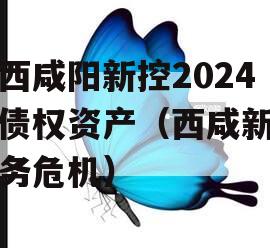 陕西咸阳新控2024年债权资产（西咸新区债务危机）
