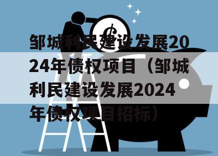 邹城利民建设发展2024年债权项目（邹城利民建设发展2024年债权项目招标）