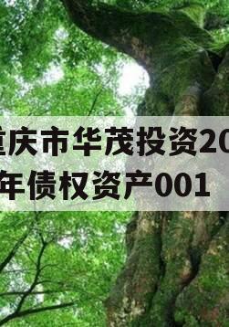 重庆市华茂投资2024年债权资产001