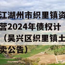 浙江湖州市织里镇资产经营2024年债权计划（吴兴区织里镇土地拍卖公告）
