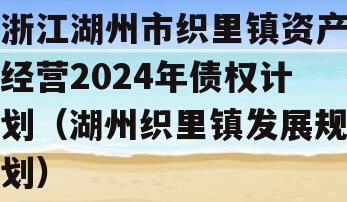 浙江湖州市织里镇资产经营2024年债权计划（湖州织里镇发展规划）
