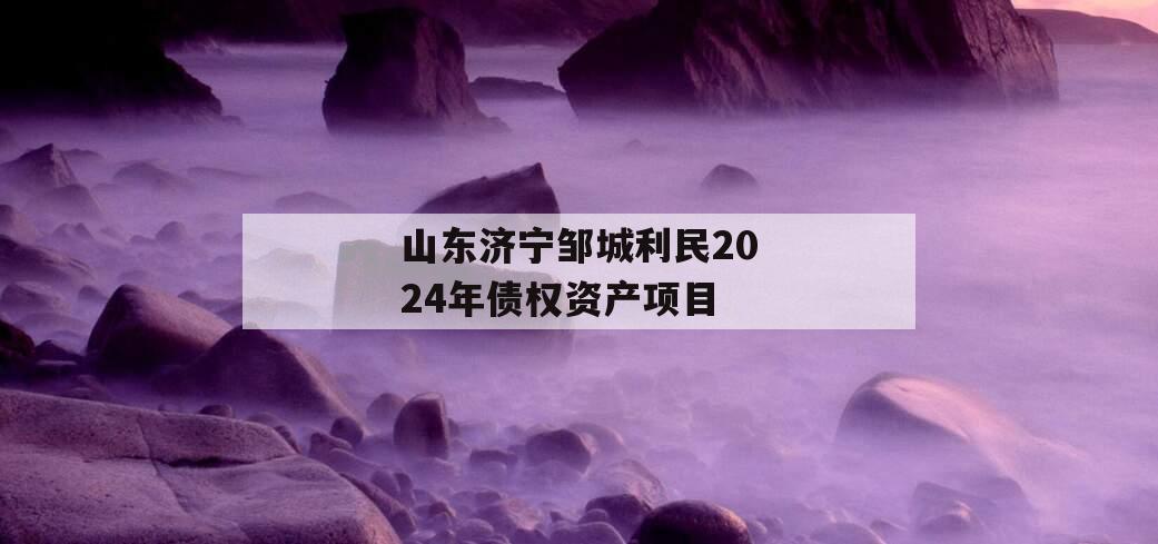 山东济宁邹城利民2024年债权资产项目