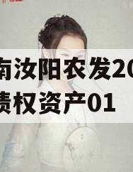 河南汝阳农发2024年债权资产01