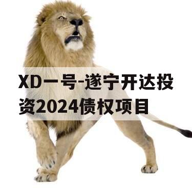 XD一号-遂宁开达投资2024债权项目